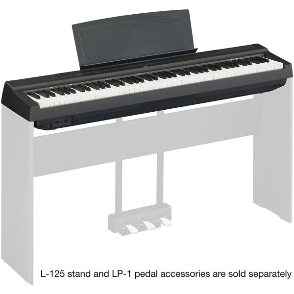 Pro Audio, Lighting and Video Systems YAMAHA P125 88-Key Weighted